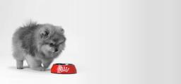 Få 15 % rabatt på första leveransen av foder hos Royal Canin