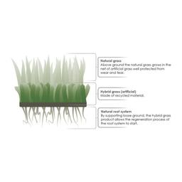 Hybrid Grass Grimsholm Green Premium