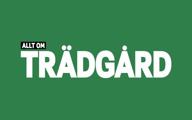 Prenumerationstjänst för Allt om Trädgård