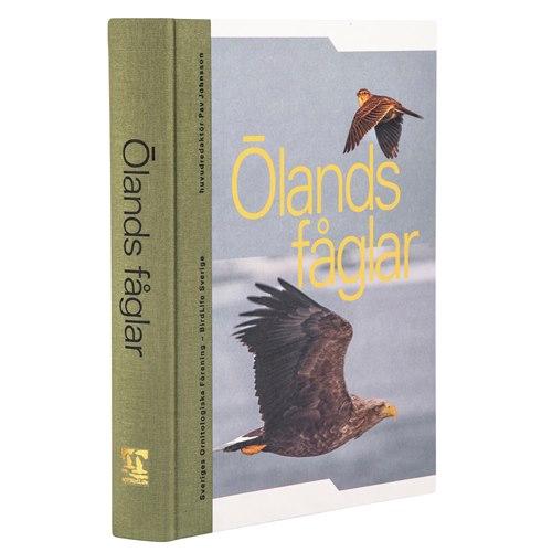 Ölands Fåglar: En Fågelskådningsguide