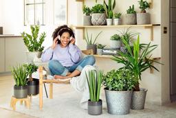 Höstlökar köp 4 betala för 3