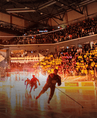 Få 100 kr rabatt och stötta Brynäs när du ser TV4 Play Sport