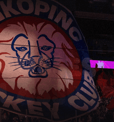 Få 100 kr rabatt på TV4 Play Sport och stötta Linköping HC