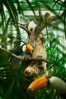 Årskort till Universeum för barn och vuxna