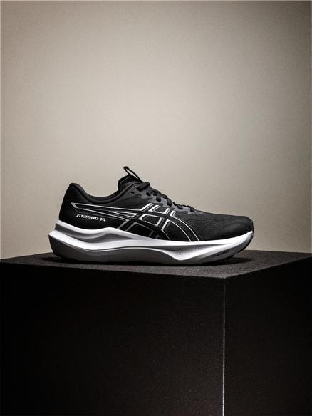 ASICS GT-2000 14 Herrskor