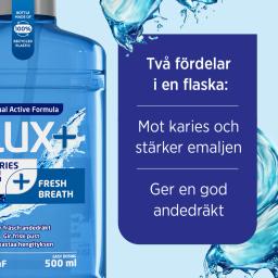 Flux Fresh Mint 500 ml, -25 %.