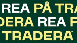 Tradera 100kr rabatt