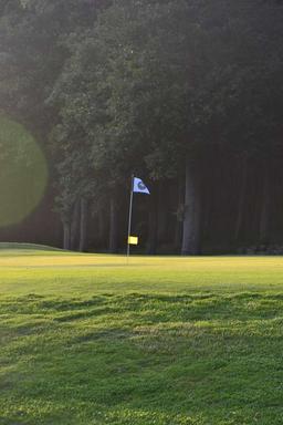 20 % på hela sortimentet hos Vincere Golf