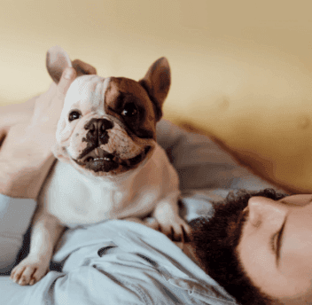 10 % studentrabatt hos Dogman and friends