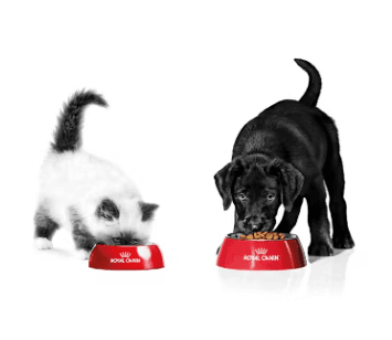 15 % rabatt på prenumeration hos Royal Canin