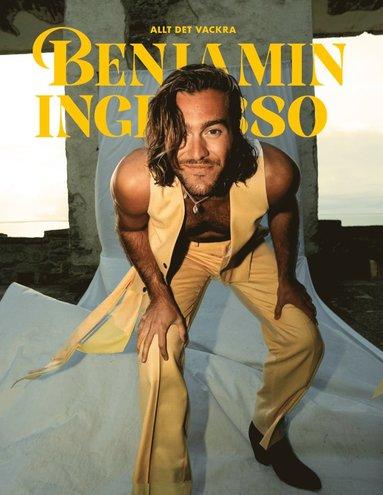 Allt det vackra - Benjamin Ingrosso Kartonnage
