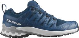 Salomon Men's XA Pro 3D V9 GORE-TEX Shoes