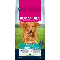 Eukanuba Adult Large Breed Lamb & Rice