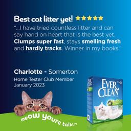 Ever Clean Extra Strong Fresh Scent Kattsand