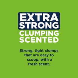 Ever Clean Extra Strong Fresh Scent Kattsand