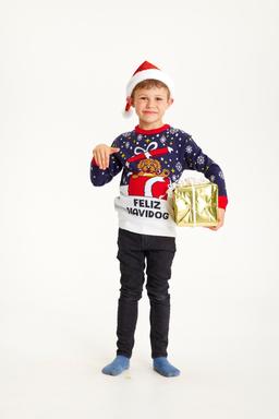 Feliz Navidog Holiday Barn Decor
