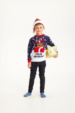 Feliz Navidog Holiday Barn Decor