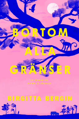 Bortom alla gränser Pocketbok