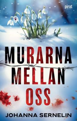 Murarna mellan oss, Inbunden Roman