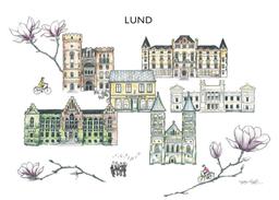 Tevykort Lundablandning Premium Te