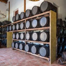 Giusti Aceto Balsamico di Modena 250ml