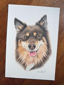 Nassau Fine Art Soft Pastels Set