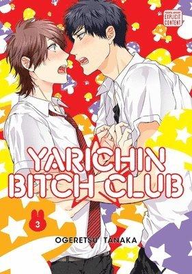 Yarichin Bitch Club Vol. 3 Paperback