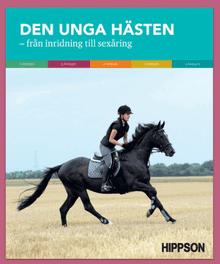 Få 5 % extra rabatt på böcker hos Hippson