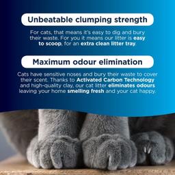 Ever Clean Multiple Cat Klumpande Kattsand