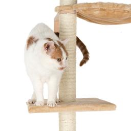 Orion Klösträd för Katt