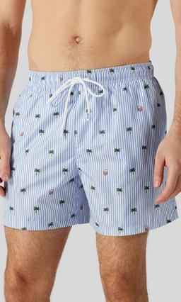 Eton Randiga Flerfärgade Badshorts Herr