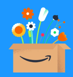 Prova Amazon Prime gratis I 30 dagar