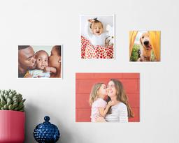 Premiumfoto 10 x 13 cm Format
