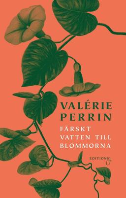 Boken glömda om söndagen till bättre pris 