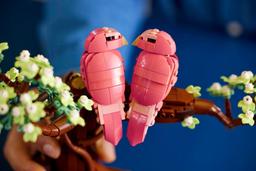LEGO Ideas Dvärgpapegojor Byggsats