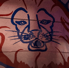 Få 30 % rabatt på TV4 Play Sport Total och stötta Linköping