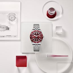 TUDOR Black Bay 58 Burgundy Watch