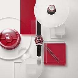TUDOR Black Bay 58 Burgundy Watch