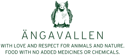 Elegant Rooms at Angavallen Hotel