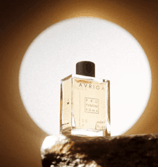 Få en värdecheck på 100 kr vid köp över 500 kr hos Gents