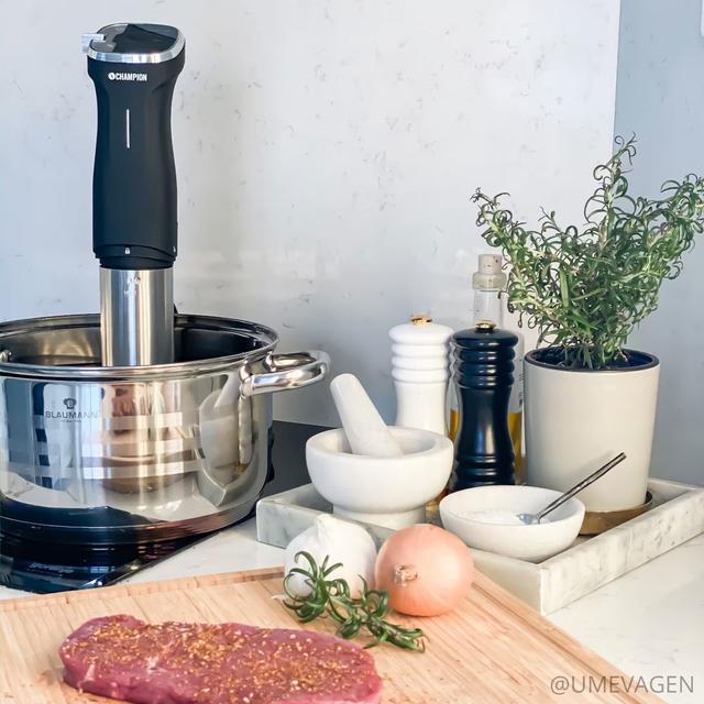 Champion Sous Vide Precision Circulator