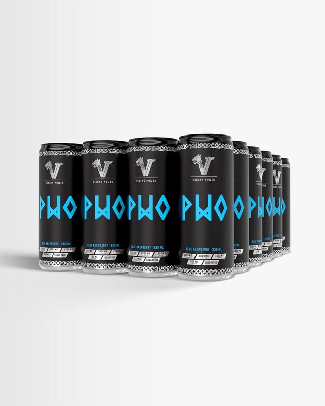 Viking Power PWO Energidryck 24-pack