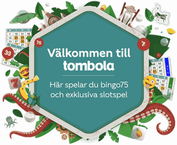 Spela bingo online med dina vänner