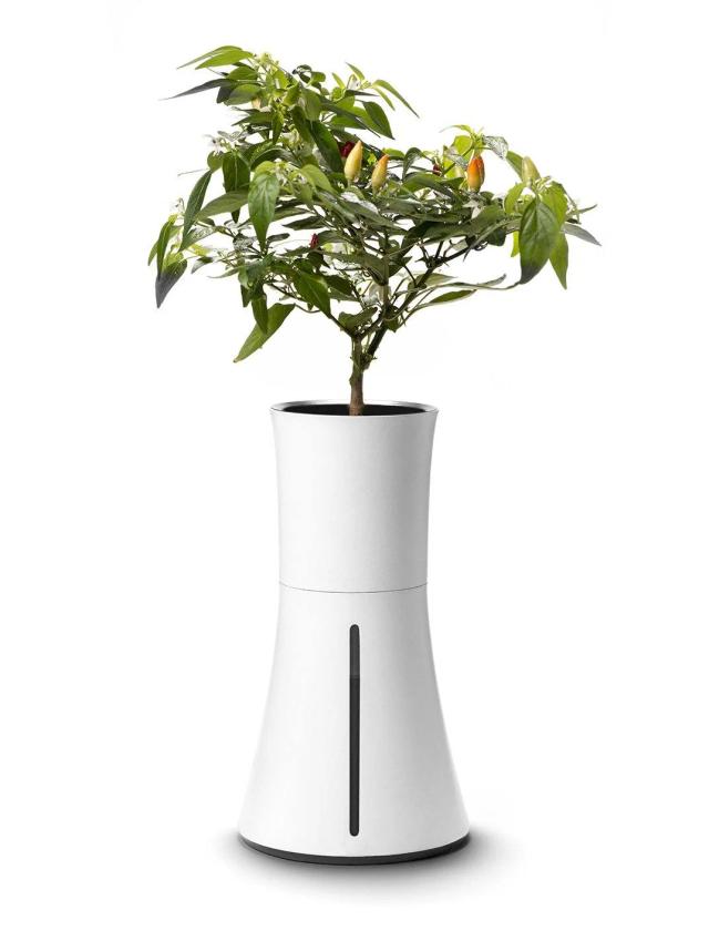 Self-Watering Smart Indoor Planter