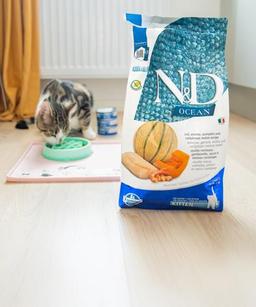 Med VetZoo rabattkod får du 20% rabatt!