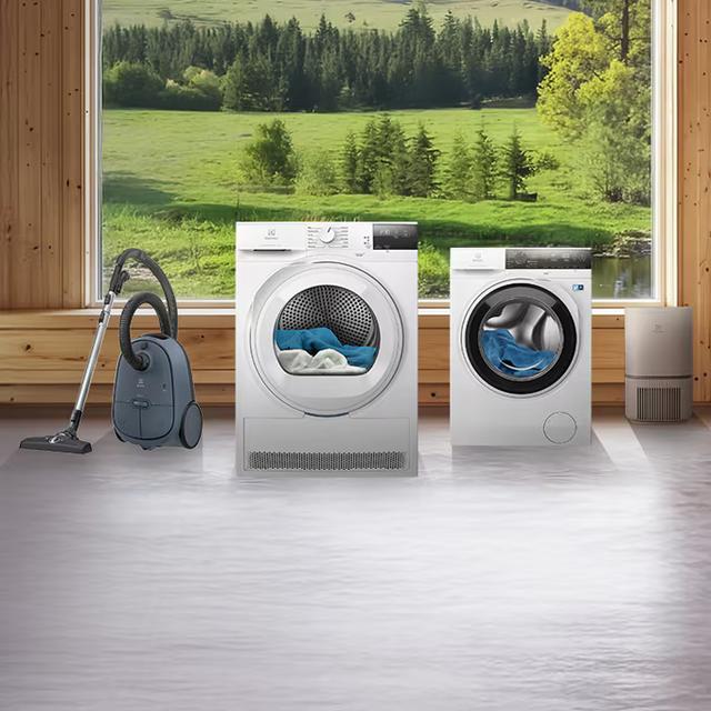 AmbiFlex Green Avfuktare EXD20DN4W Avfuktare