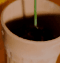 Lägg upp 10 annonser på Tradera för halva avgiften