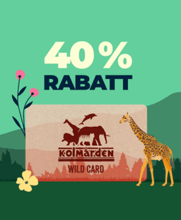 40 % rabatt på årskortet Wild Card hos Kolmården