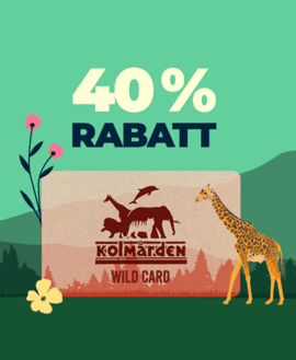 40 % rabatt på årskortet Wild Card hos Kolmården