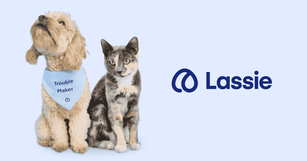 100kr rabatt hos Lassie djurförsäkring